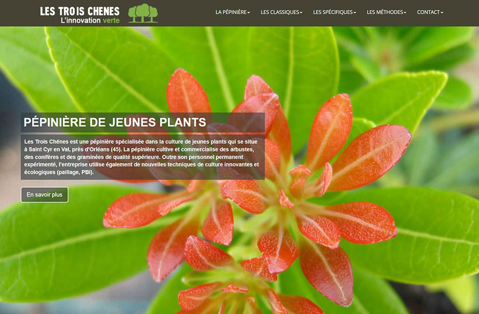 Eco-conception site web